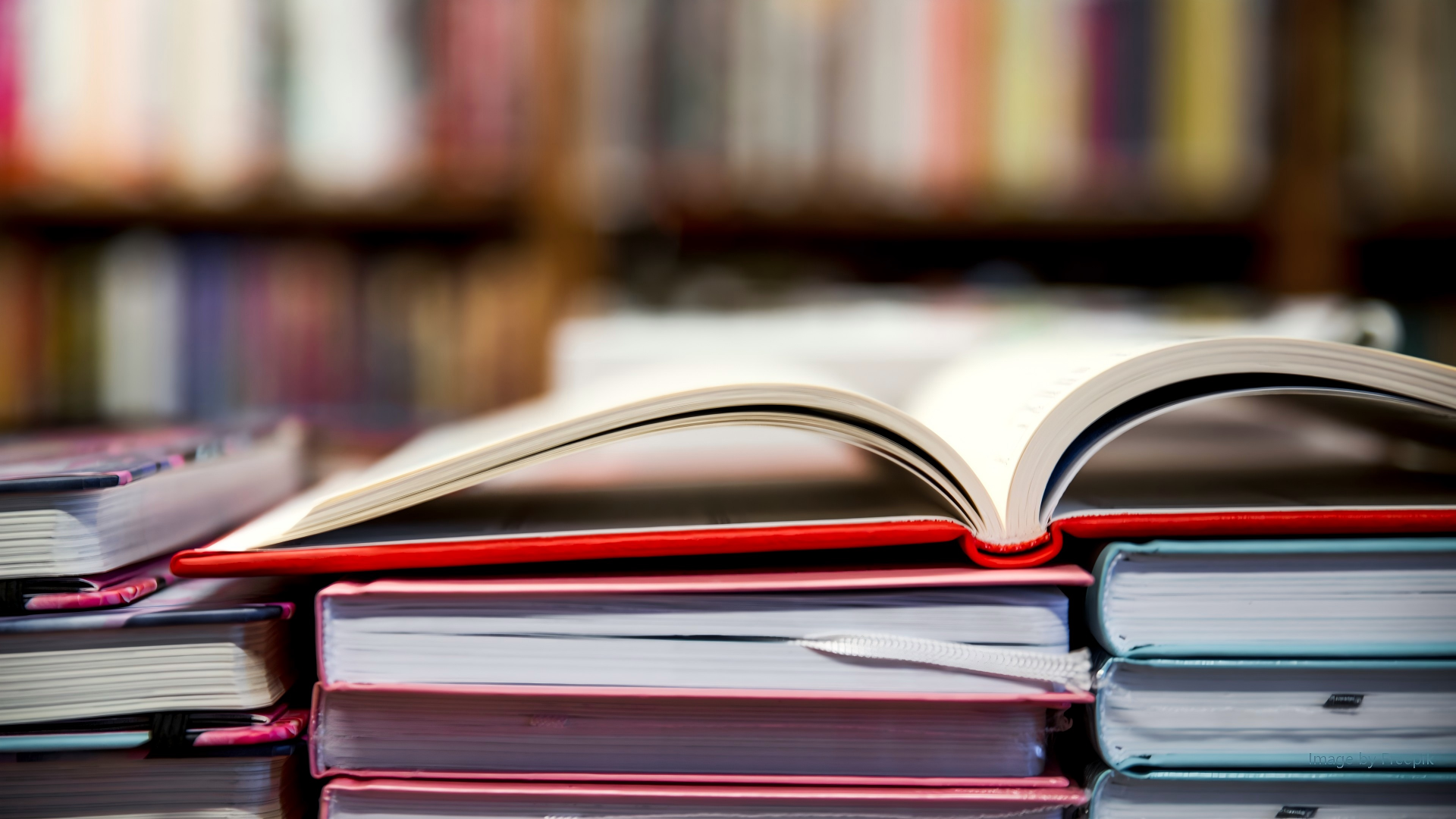 邓晓芬律师受邀为上财税务硕士系统讲授公司法