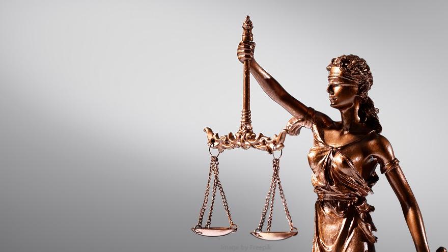 左券律师参加上海市法学会财税法学研究会全体成员大会暨2025年年会